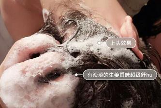 李佳琦强烈推荐的洗发水，仅用3次告别掉发，网友：堪称洗发界阿玛尼