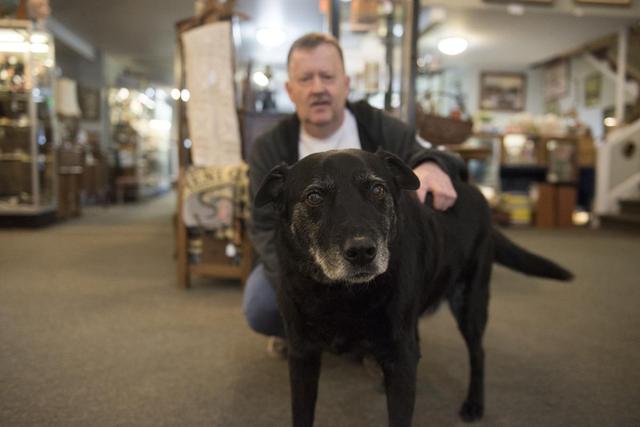 狗狗总喜欢背对我，是不喜欢我吗？原因恰恰相反