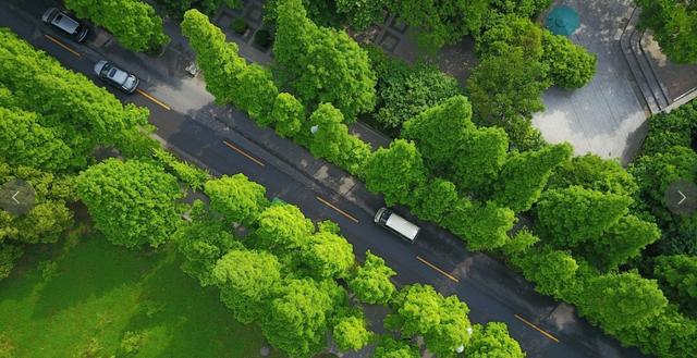 为什么懂行的人喜欢买凤凰层? 开发商：因为它是真的黄金楼层