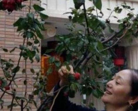 带你看看赵丽娟住的豪宅，大门前就种绿植，装修布置很时尚