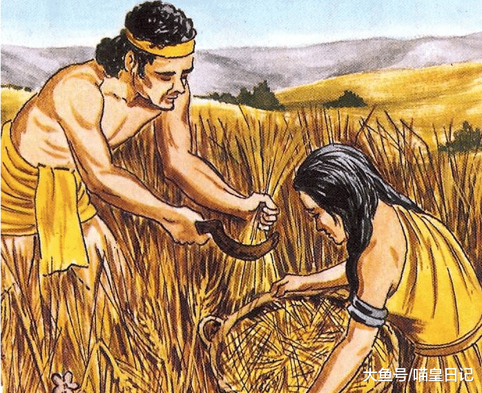 在一万多年前，和狐狸一样狡猾的猫咪，是如何被人类驯化的？