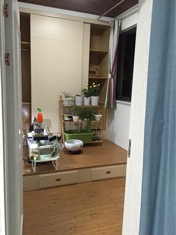 新房完工，大家都夸漂亮！唯独电视墙被狂吐槽，越看越丑怎么办？