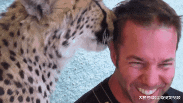 花豹从小跟狗狗一起长大，结果被带偏了，汪：不就是猫吗？