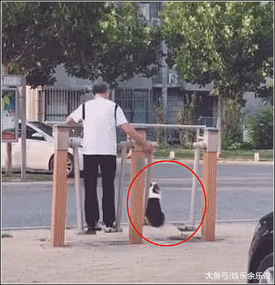 爷爷每天都带柯基去玩，男主觉得很奇怪，偷偷跟上去瞬间惭愧至极