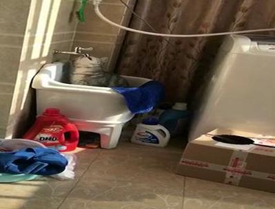 猫咪不肯喝盘子里的水, 非要去水龙头舔水喝, 小表情亮了