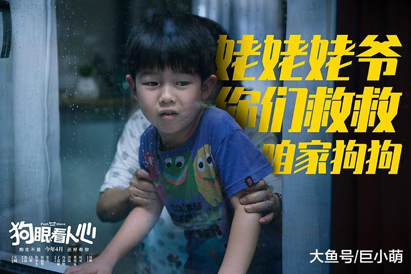 爱犬护主被藏獒咬死！狗咬狗变人斗人，看黄磊闫妮为爱犬讨公道