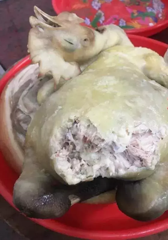 網友忘記關門后，就被家里的貓貓偷吃新年拜神的白切雞，雞屁股還不翼而飛