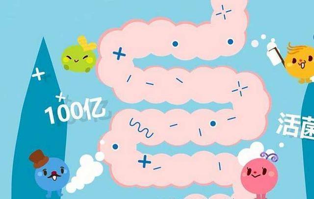 边牧这5种睡姿代表什么？每一种都有不同含义，你家是哪种？