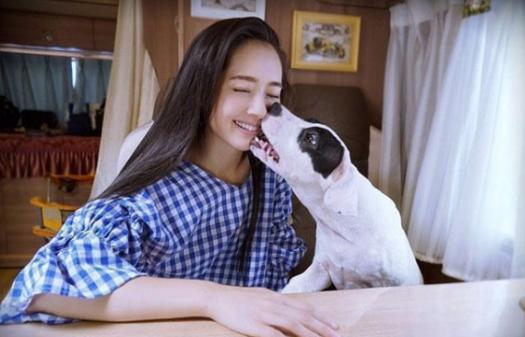 晒晒郭碧婷现实中的家，在家还跟宠物一起睡觉，性格太有爱心了