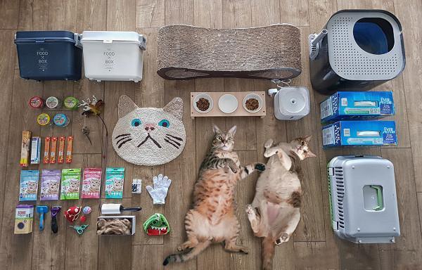 最近流行“装备开箱照”？毛孩们也来开箱，只是这玩具太多了吧！