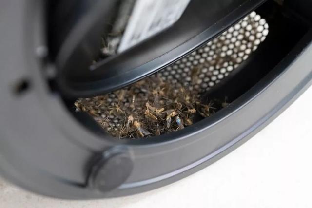 灭蚊子千万别用蚊香，不安全，生物专家说道：卧室放一”宝贝“整晚都会睡得香