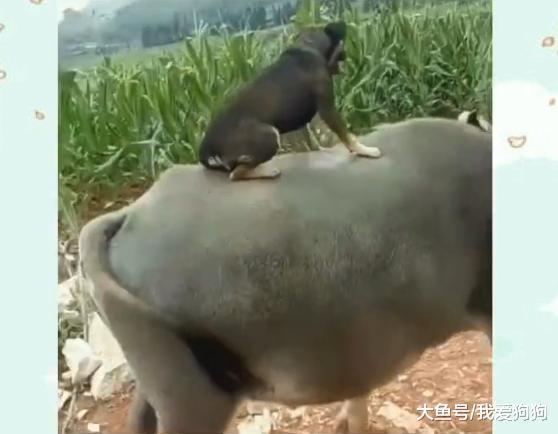 過年回家了，回家交通工具大詳解，總有一款適合你