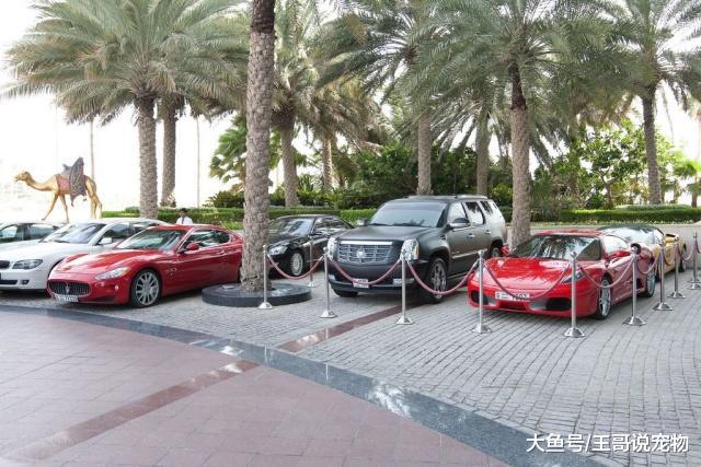 迪拜到底有多富有？贫穷限制了我们的想象力