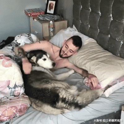 网友刚说带狗子去洗澡，结果它就不见了，找到时主人笑翻了