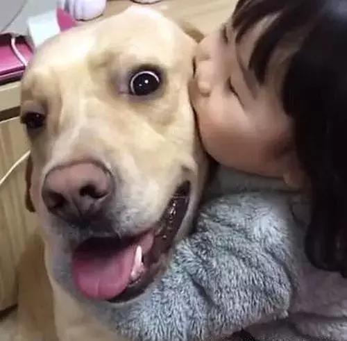 幾年不見，回家之后狗狗是怎么認出我的？