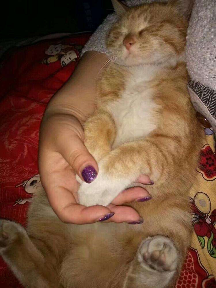 爱和猫咪玩耍的闺女向妈咪哭诉，胳肢窝长个肉瘊子，痒得很难受