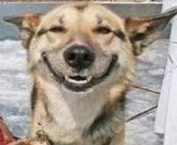 听说装饰是装修公司表情图，哈哈哈~~真的吗？