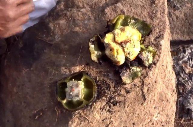 男子把鸡蛋放进青椒里烧着吃，这种奇葩吃法还真没见过！