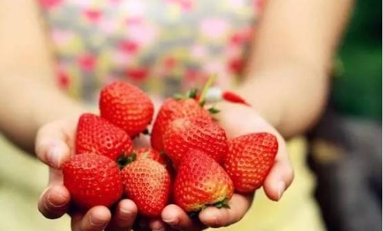 日本人在山东租下１５００亩地，闲置五年野蛮生长，最终结果怎样？