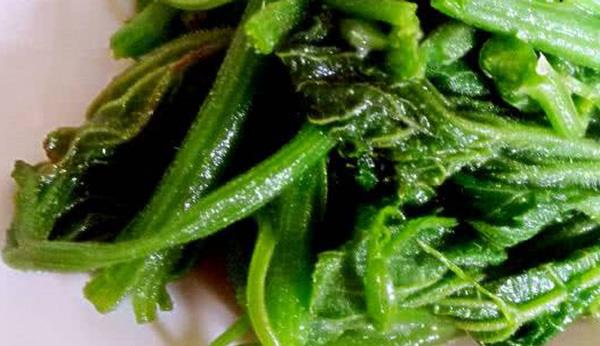 丝瓜藤能吃吗？5个好处等着你，调经止痛、治肾虚，赶紧试试！