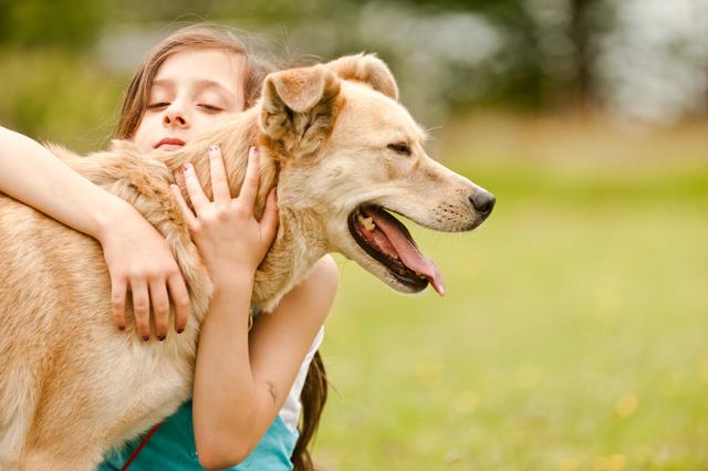 搬家后狗狗不习惯，吃不下不开心，要怎样帮助狗狗？