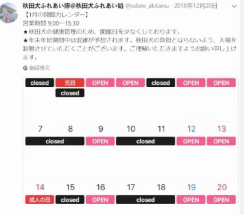 宠物咖啡店等火爆的背后, 是猫咪和狗子们积蓄已久的精神压力...