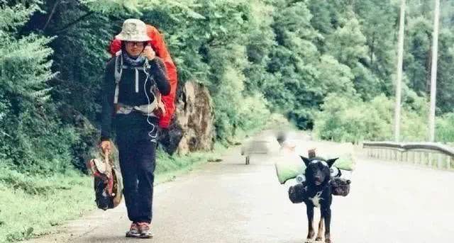 狗狗背着行李徒步川藏线，与主人不离不弃！