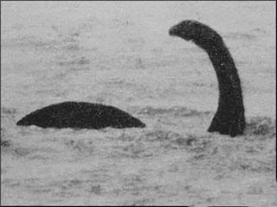 組圖：地球上10大神秘動物，3億年前的魚滅絕之后再次被發現