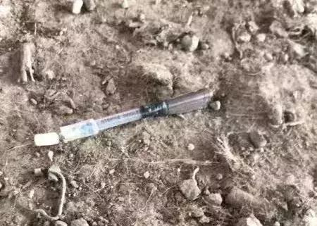 你嘴里的猫狗肉究竟从何而来？