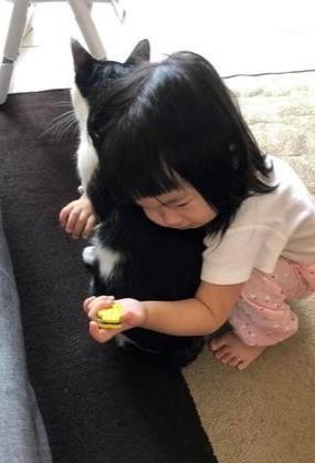 小主人在看动画片，猫咪爬到她身上撒娇，像极了你抱着女友的样子