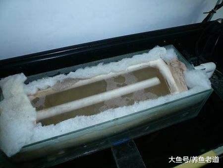 如果說硝化細菌不清水，水質為什么會變得清澈？