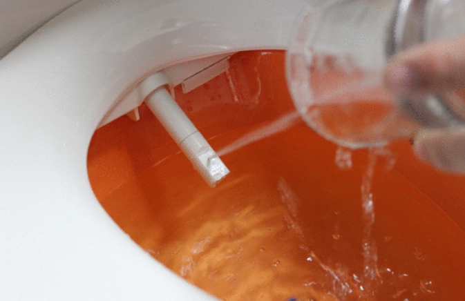 去堂哥家做客，进卫生间大开眼界，天！太有才了，回去也照样弄