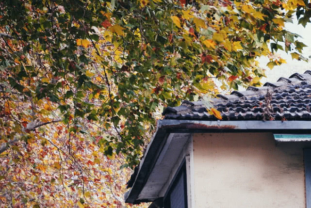 河北最“令人眼红”的城市，房价物价水平稳定，消费只有石家庄的一半