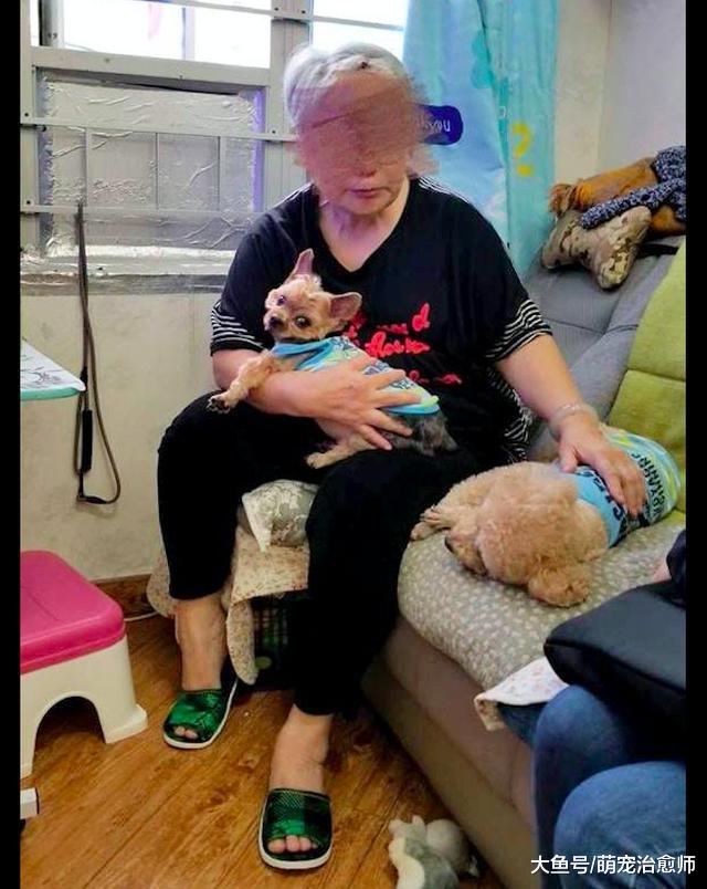 患病的老婆婆宁愿吃止痛药也不住院，只因放心不下家里的两只狗！