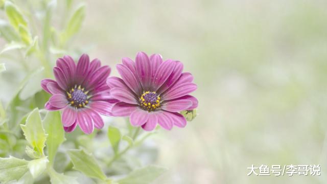 生活太累，糊涂一点会轻松！