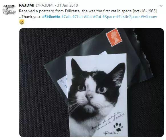 是谁在太空留下了第一个猫爪印?