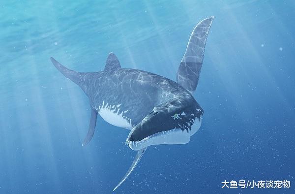 上龙和沧龙有什么区别，上龙于沧龙比起来谁更厉害