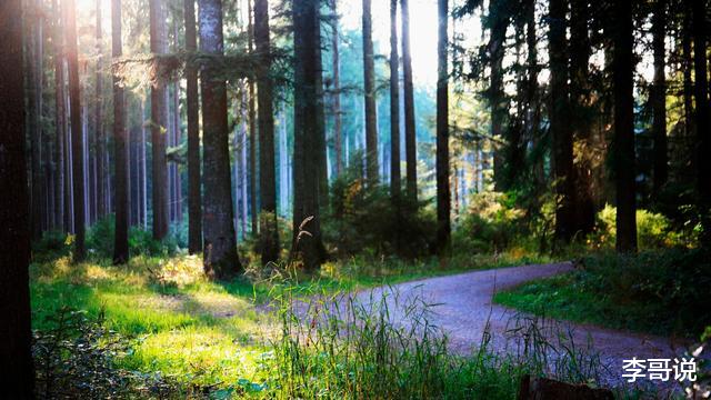 心烦的时候，可以看看这段话