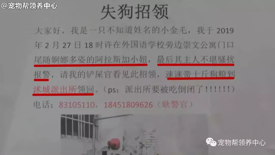 大金毛性骚扰阿拉被警察蜀黍抓，没想到它竟是大胃王险将派出所吃垮！