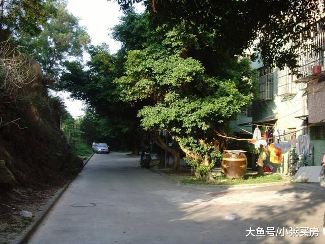 懂行的买房都挑这几类，开发商告诉你买了住进去安静又舒适！