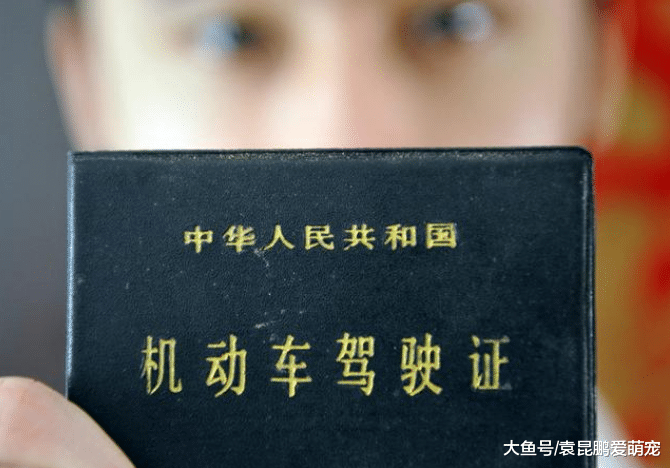 行驶证、驾驶证放车上还是随身携带？这才是正确做法，真长见识了