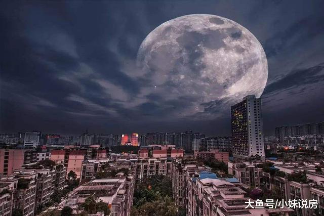炒房客没你想的那么简单, 他们痛苦的不是房价, 而是这四个字