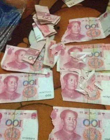 二哈拆家惹女主人生气，为了将功补过，居然翻出男主2万块私房钱