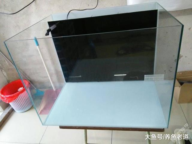 小型魚缸上濾無法更改，可以加一個簡單的背濾人人都會做！