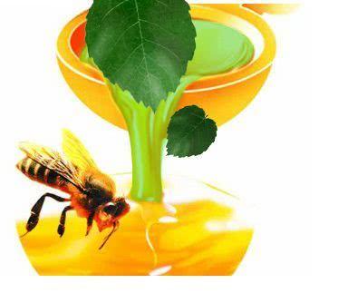 農村里的變廢為“寶”：楊樹芽有巨大商機，卻是因為它？