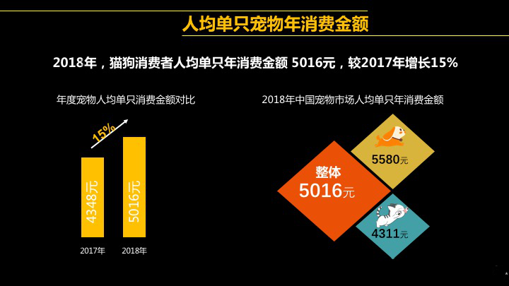 当我们谈论宠物时我们在谈论什么？