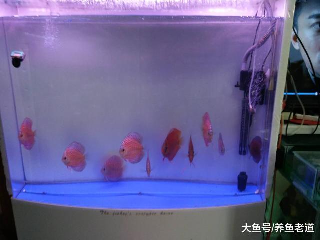 说起困水，自来水中就没有氯气，等到洗棉就要用到原缸水，何解？