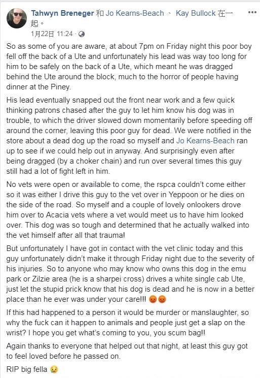 澳洲狗狗慘遭虐待，被主人用鐵鏈鎖頭開車拖行，經搶救后不治身亡