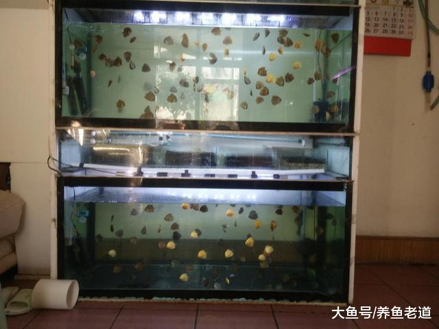 两个同样的鱼缸同样的水泵, 为什么过滤效果不一样?
