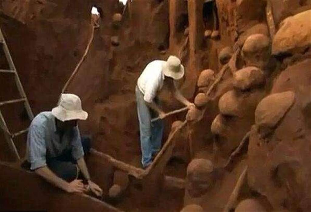 全球最大蚁穴曝光! 耗费10年, 地下王国四通八达, 建有育儿、储藏室